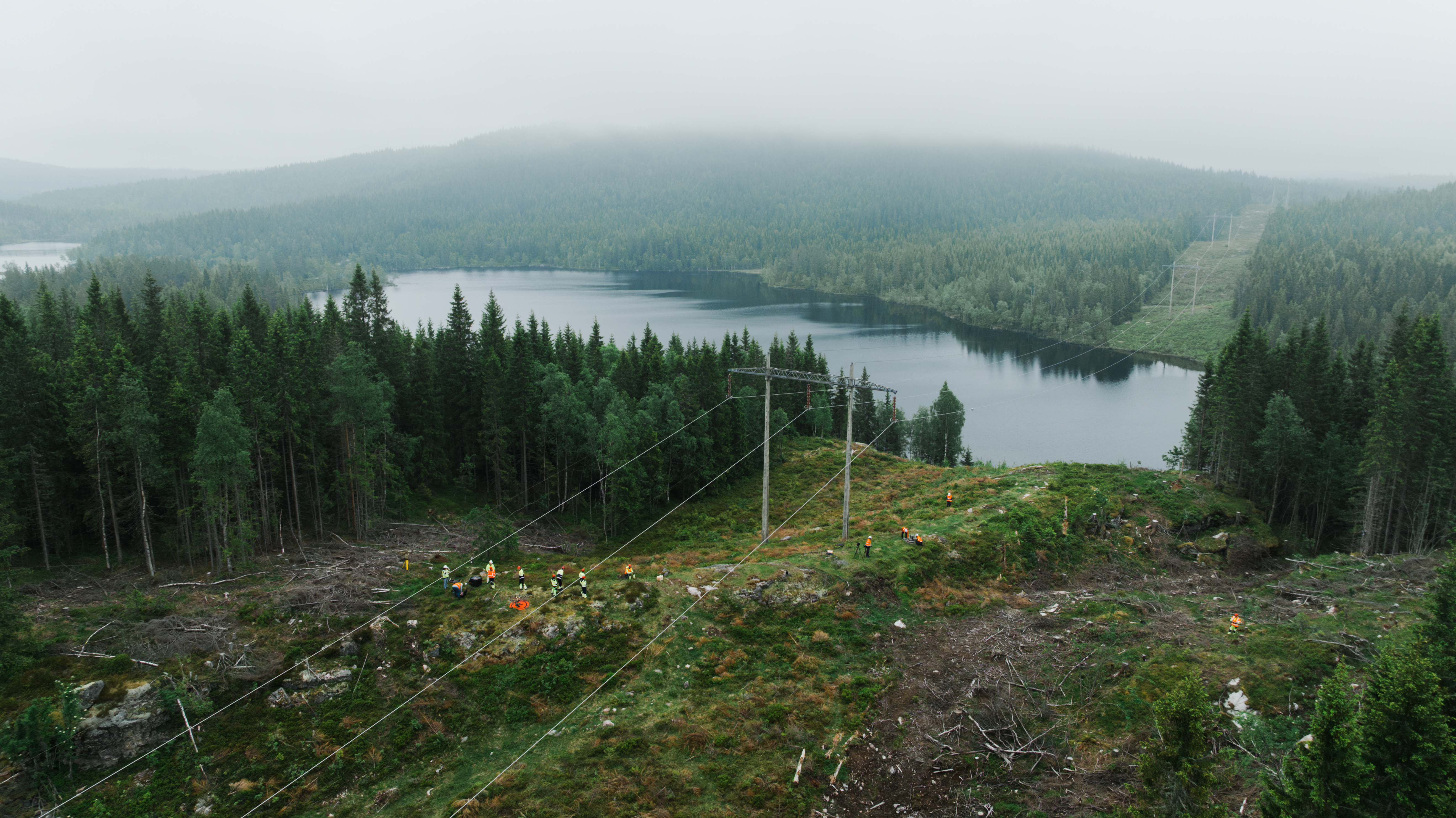 skog