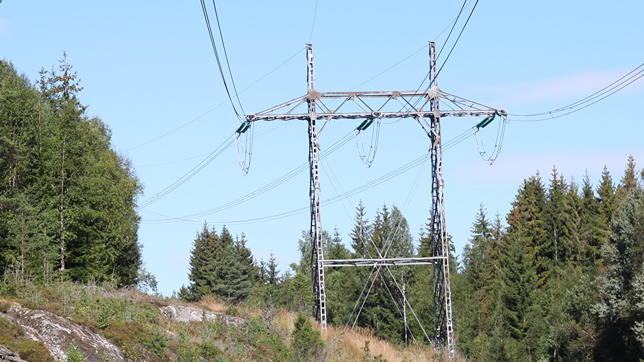 Mast i skogen