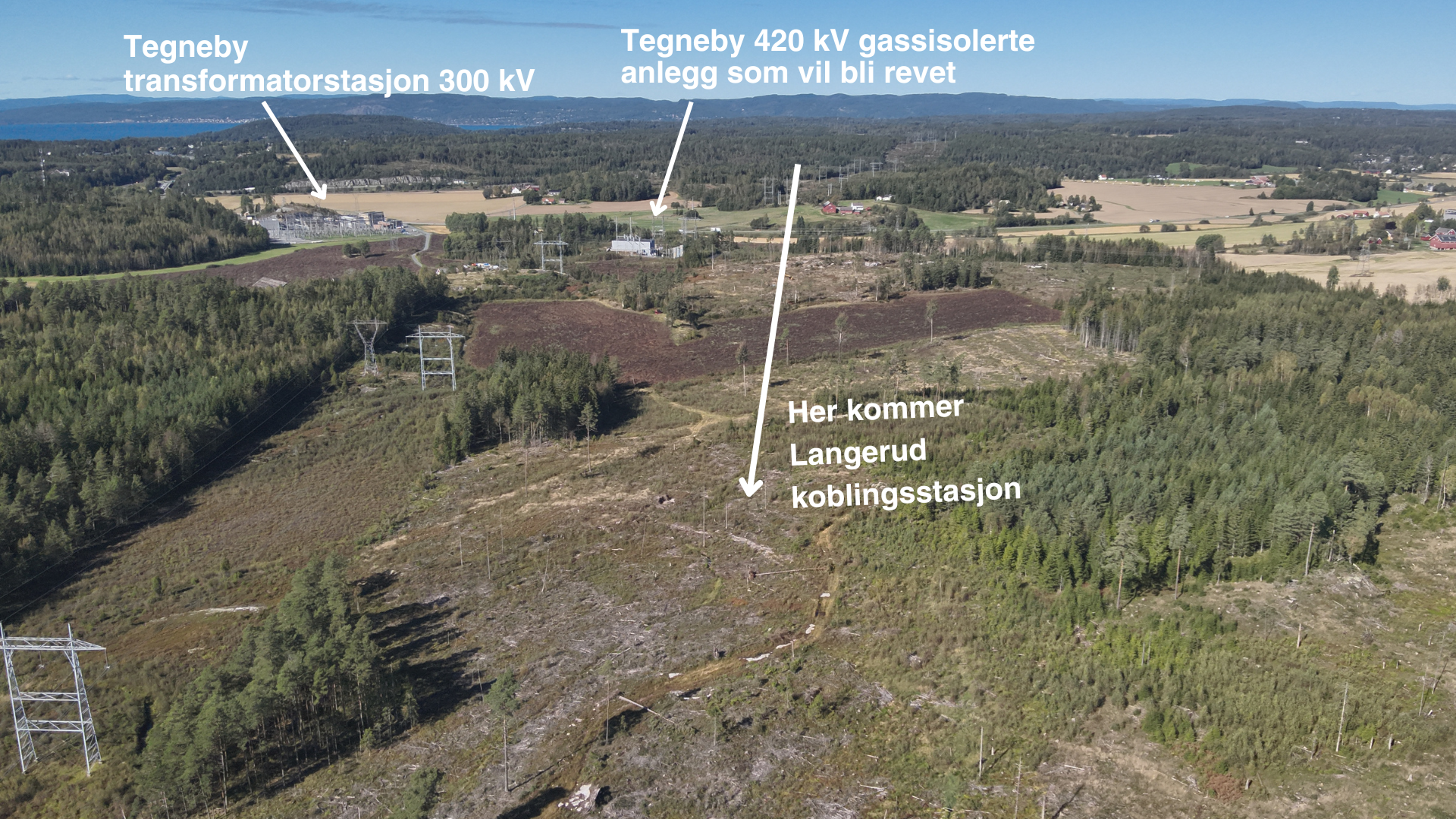 Bilde som viser et skogsområde hvor ny koblingsstasjon kommer.