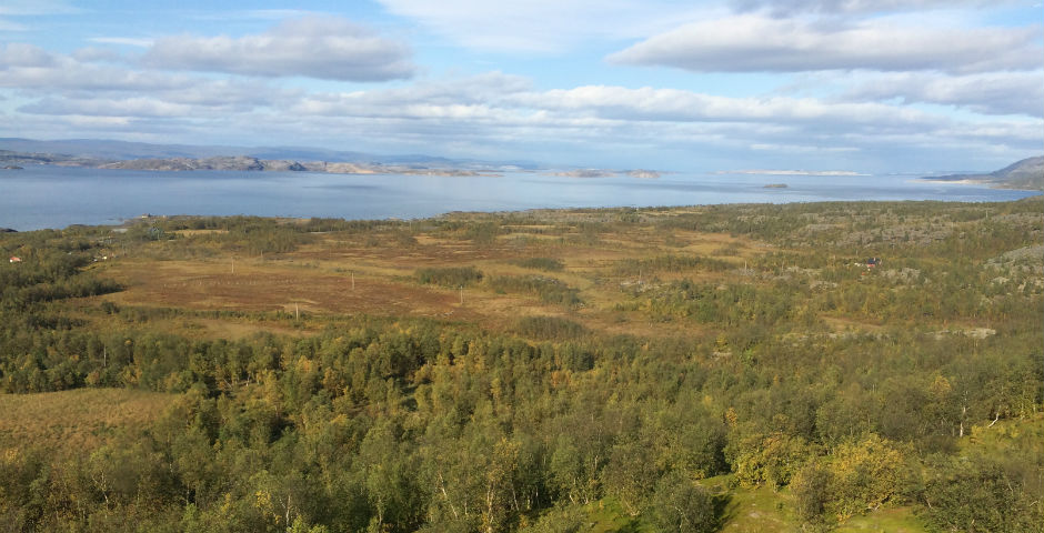 Landskap med mast