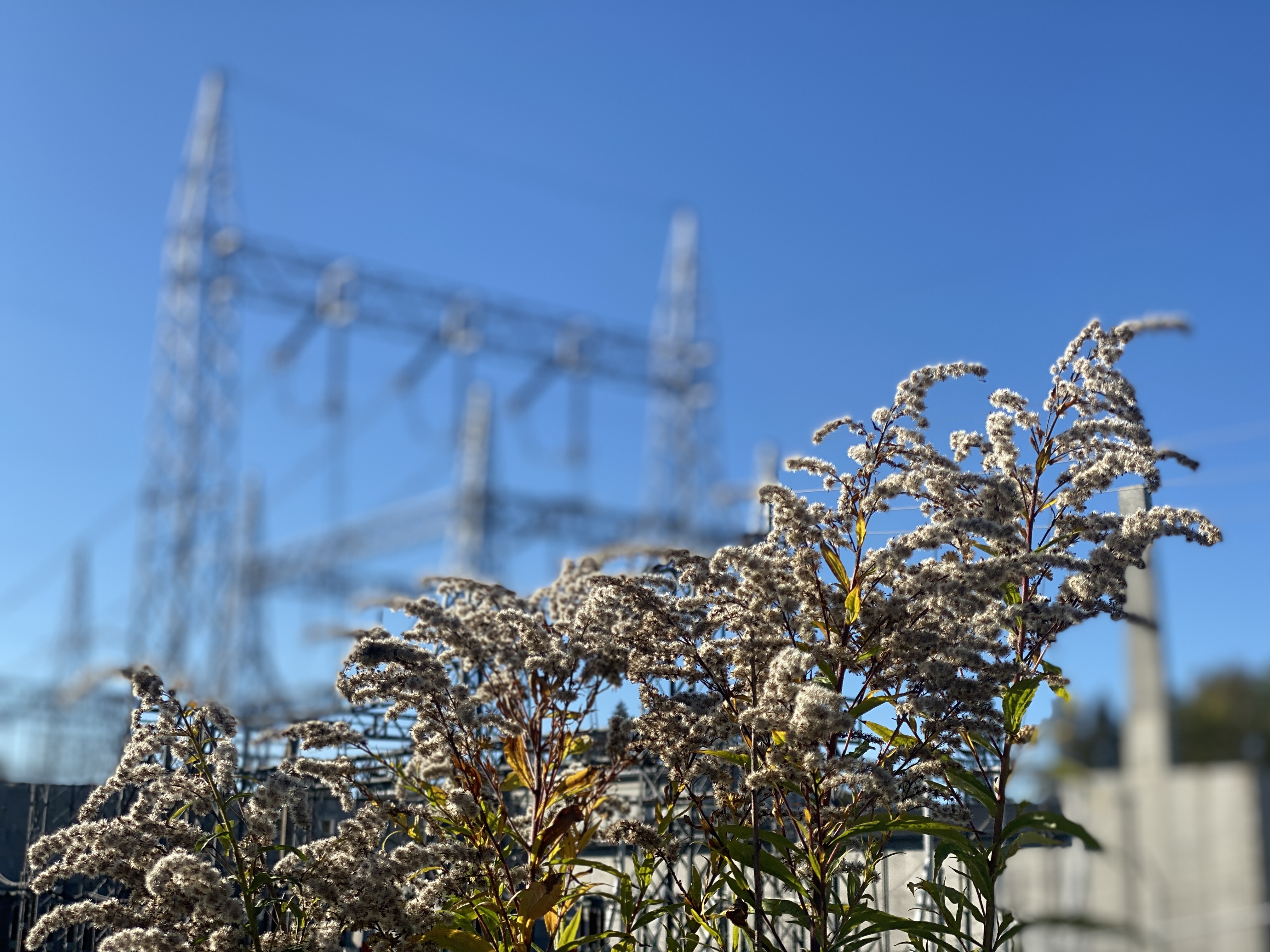 Illustrasjonsbilde