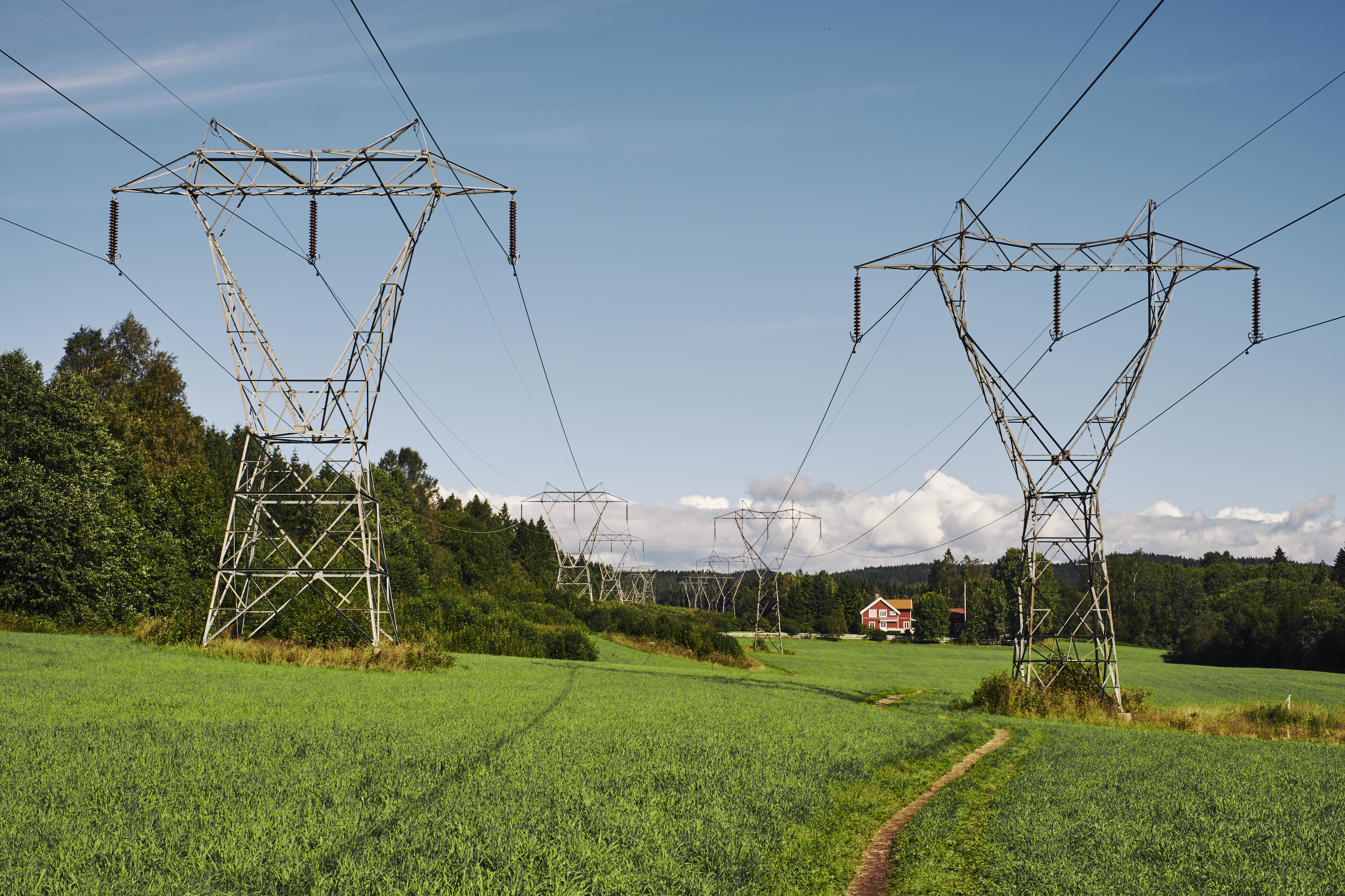 Illustrasjon av mast og eng