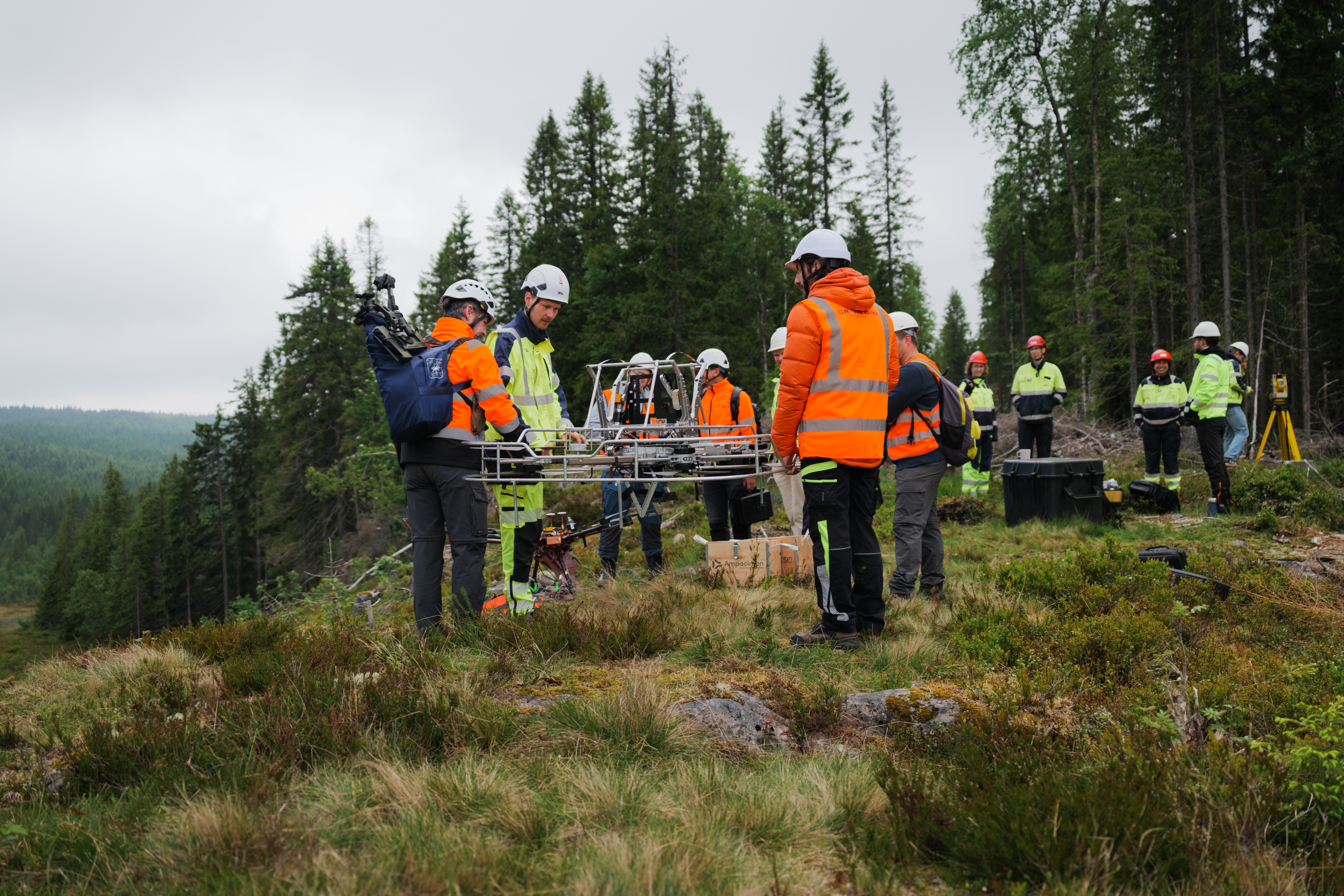Mennesker, skog, arbeider 